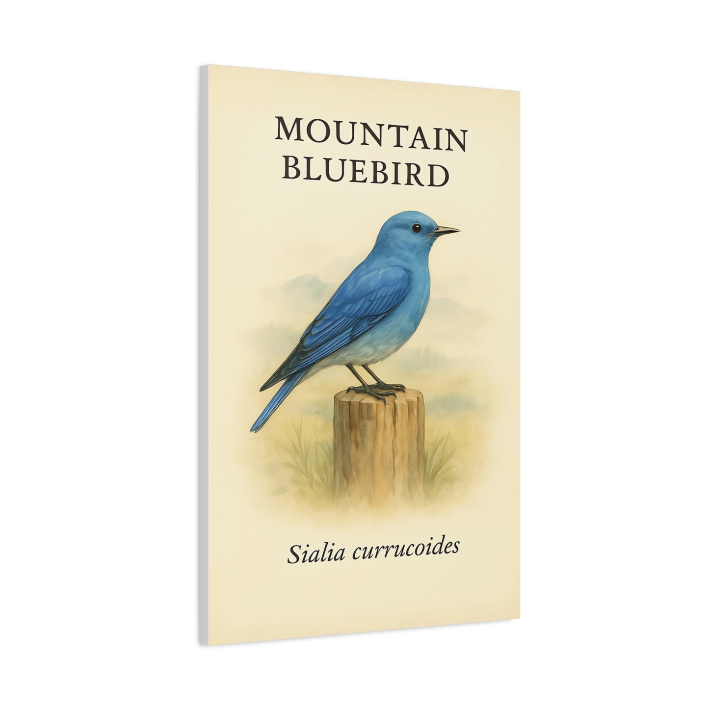 Cottage Bluebird Canvas