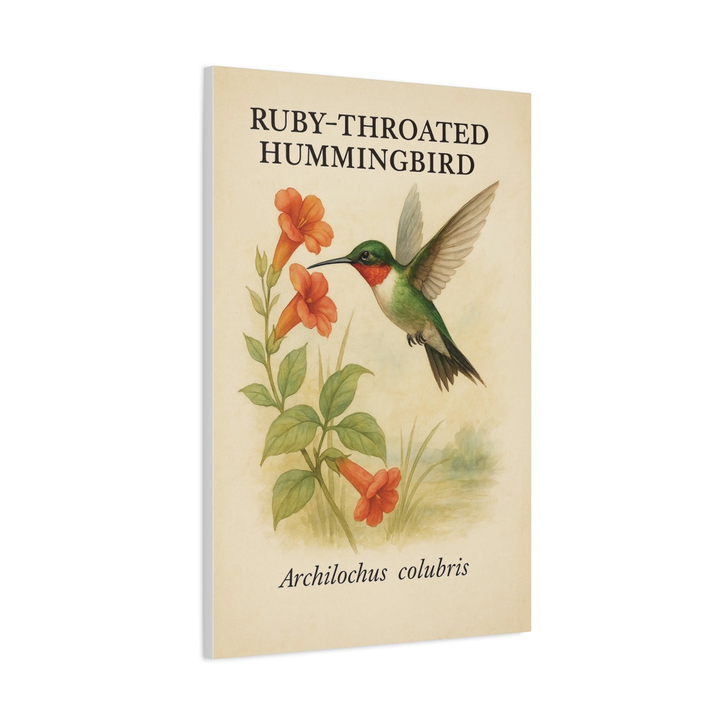 Vintage Garden Hummingbird Art