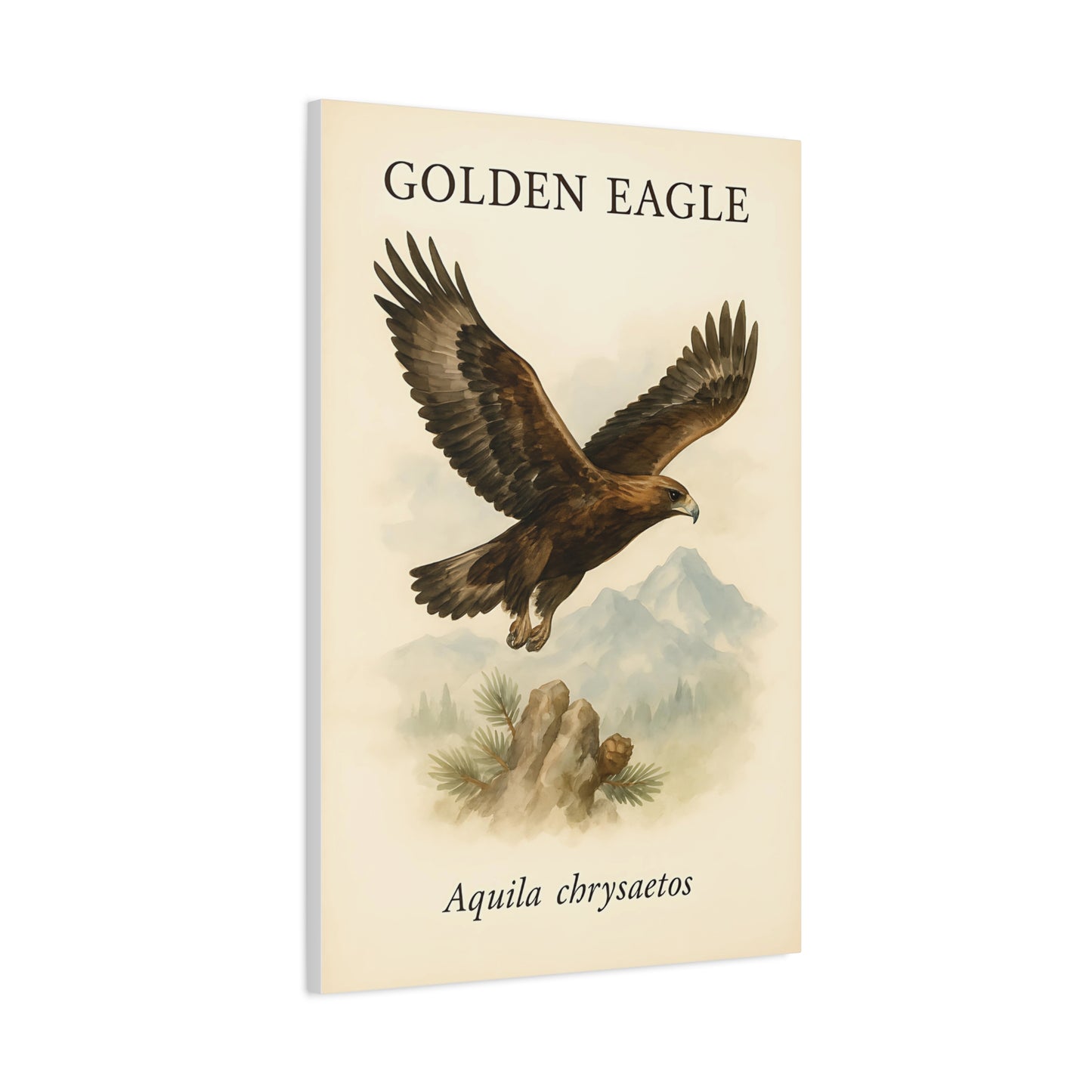 Majestic Eagle Library Print