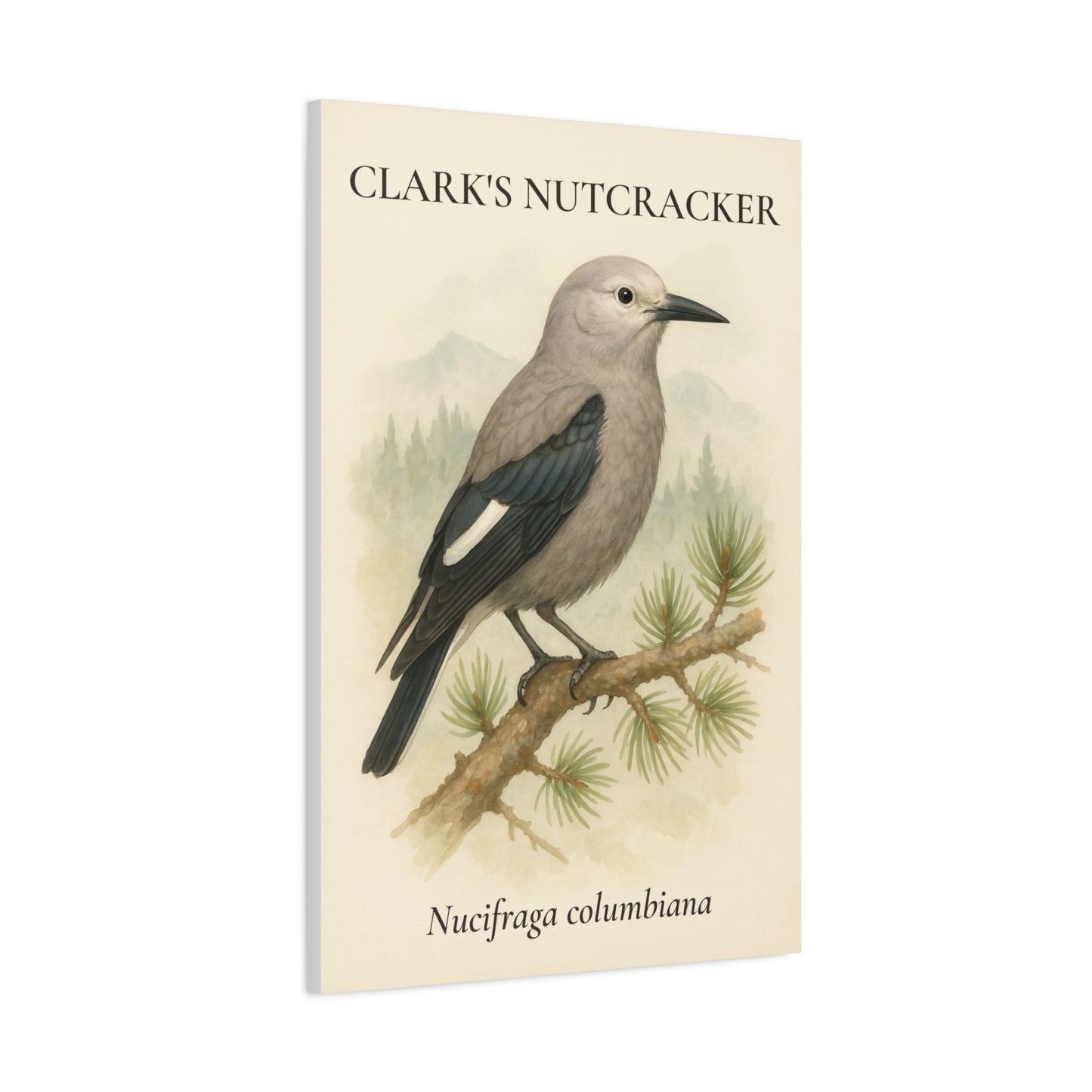 Rustic Pine Clark's Nutcracker Canvas