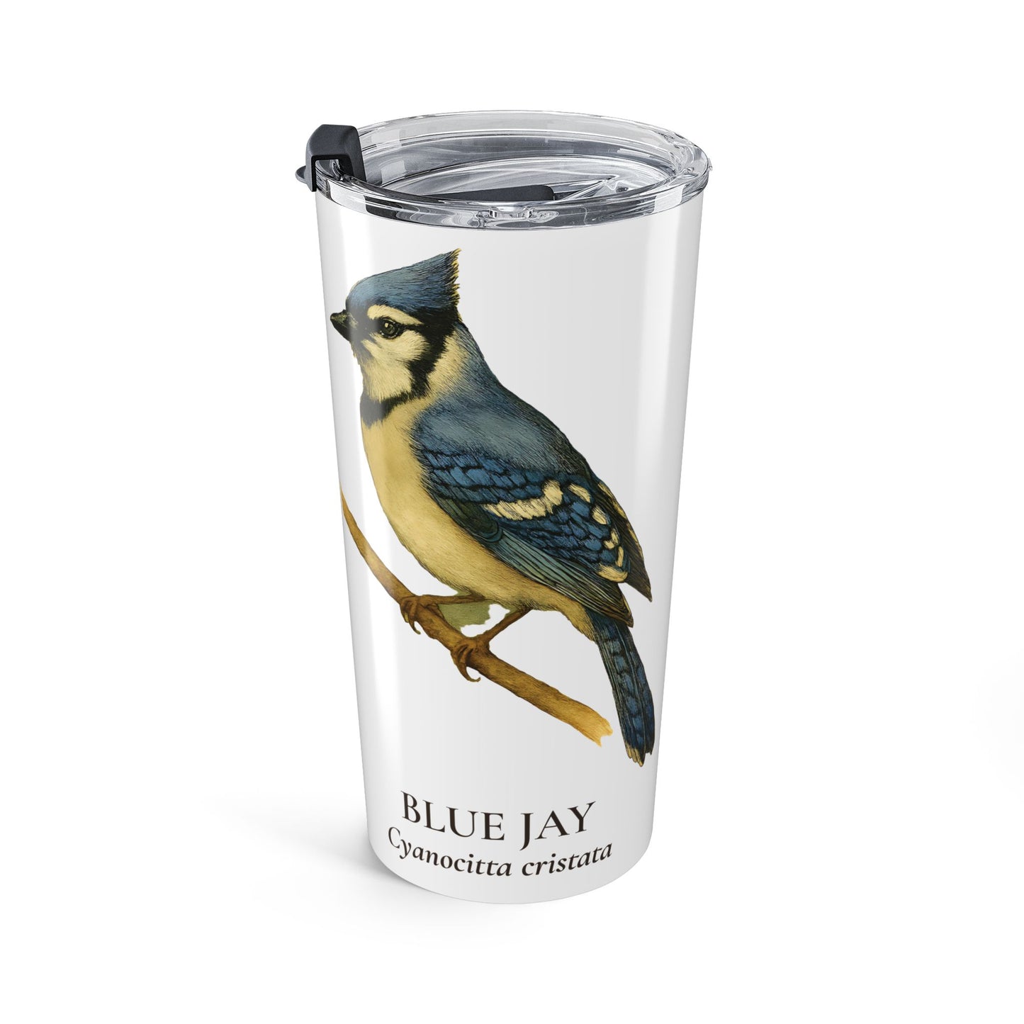 Blue Jay (Cyanocitta Cristata) Range Map Tumbler