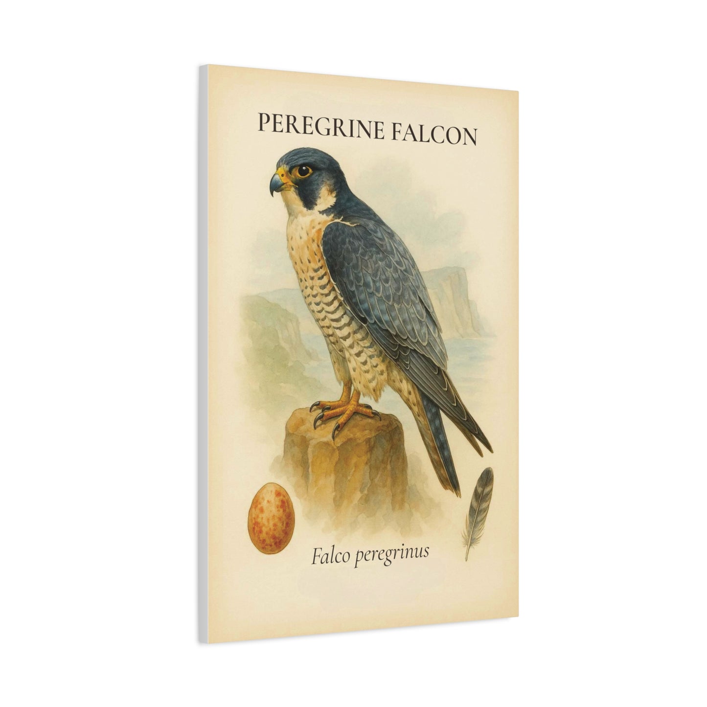 Vintage Raptor Study Canvas