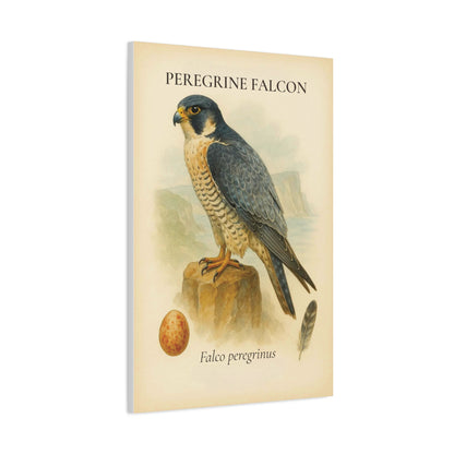 Vintage Raptor Study Canvas