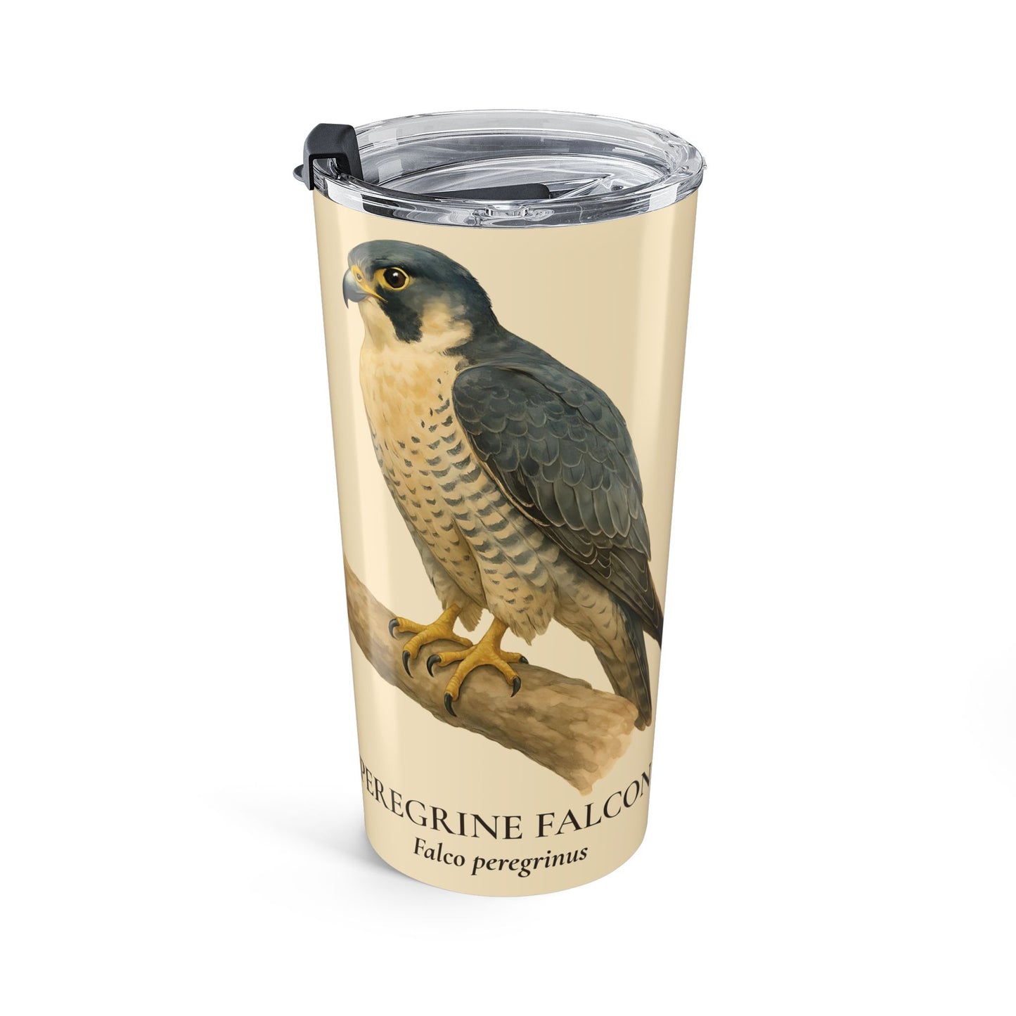 Peregrine Falcon (Falco Peregrinus) Range Map Tumbler