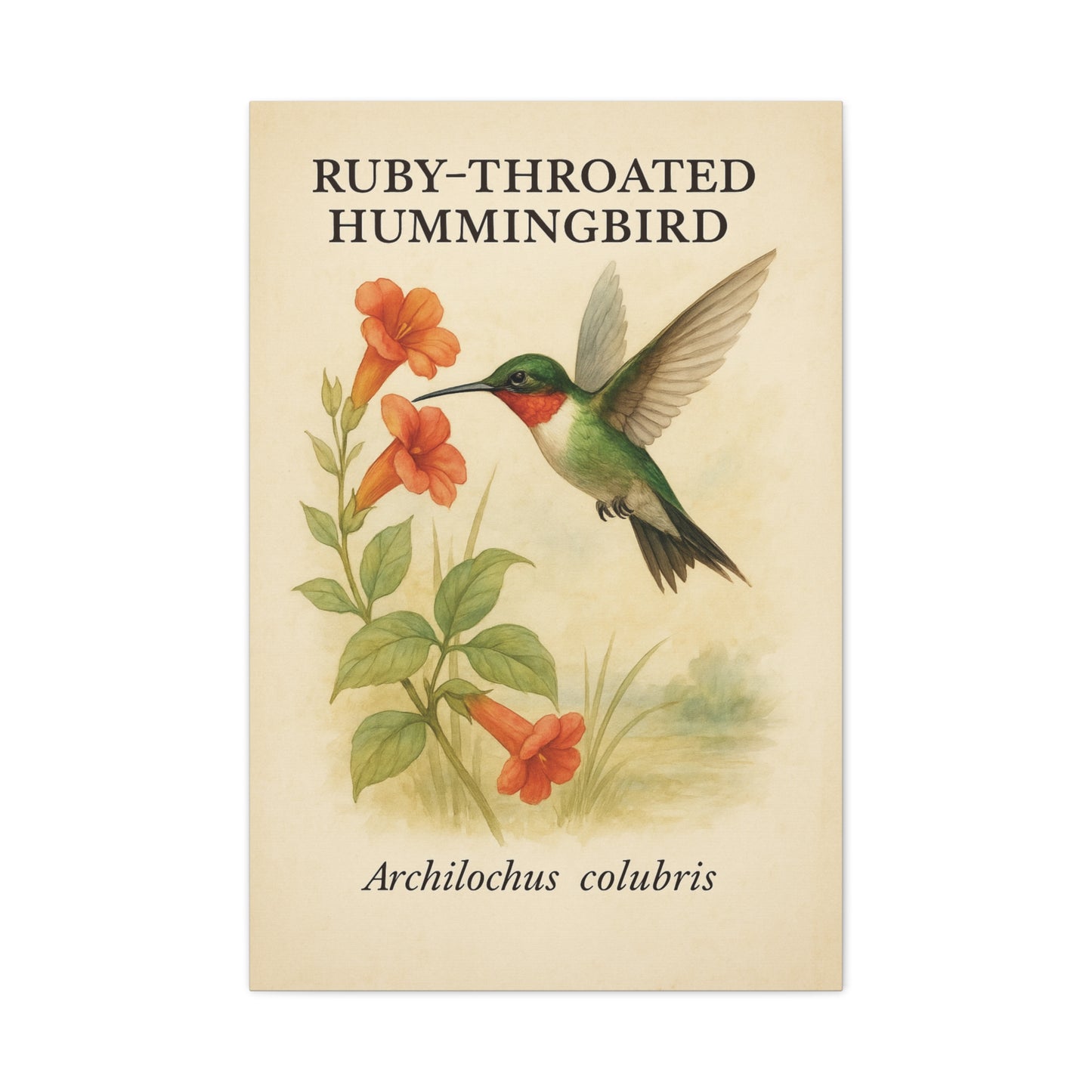 Vintage Garden Hummingbird Art