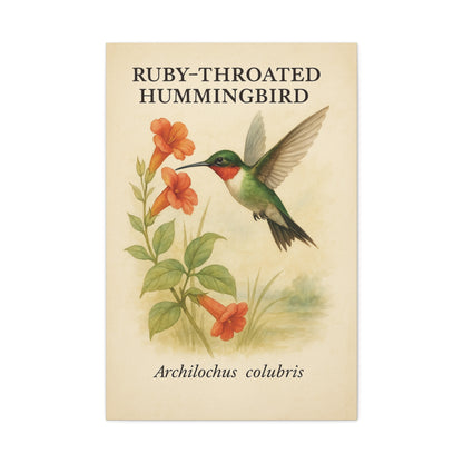 Vintage Garden Hummingbird Art