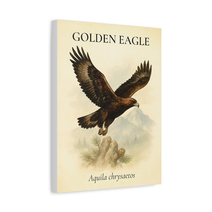 Golden Eagle – Vintage Field Canvas