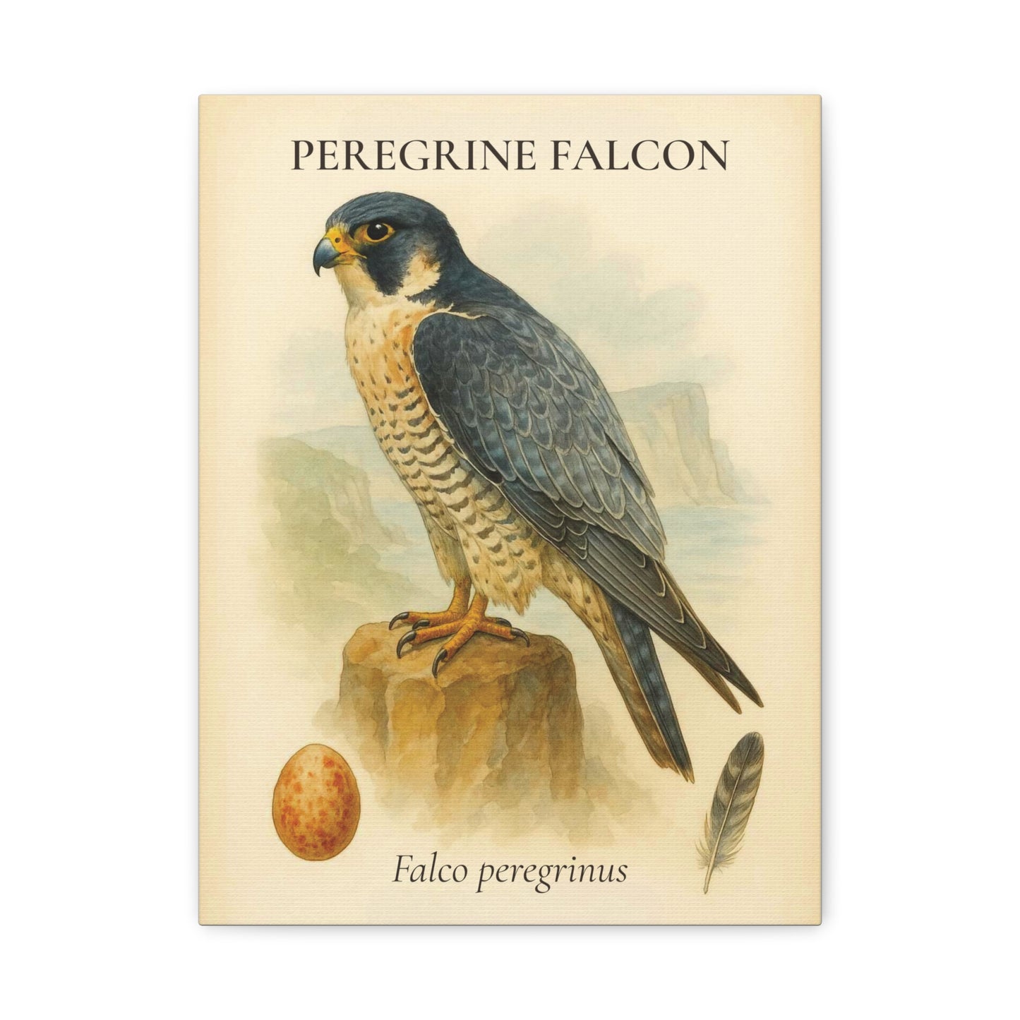 Peregrine Falcon Vintage Canvas