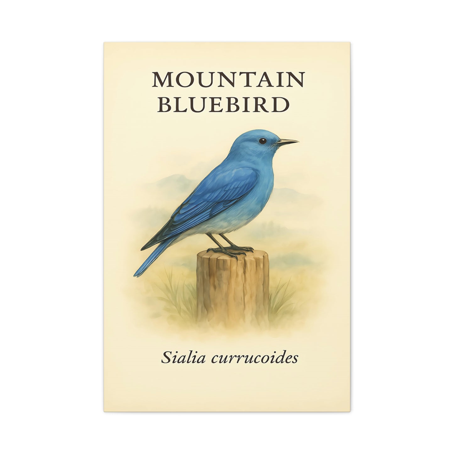 Cottage Bluebird Canvas