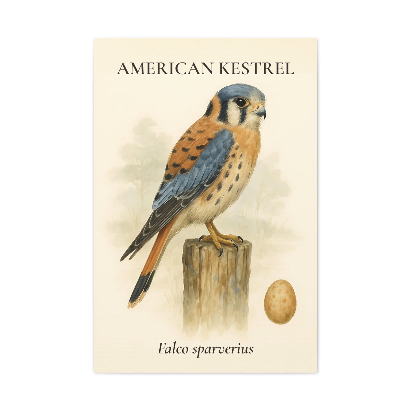 Rustic Falcon Wall Decor