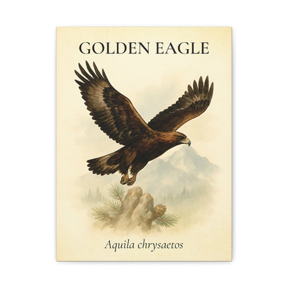Golden Eagle – Vintage Field Canvas