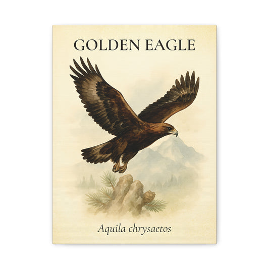 Golden Eagle – Vintage Field Canvas
