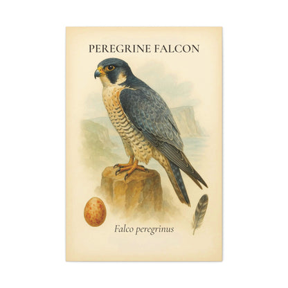 Vintage Raptor Study Canvas