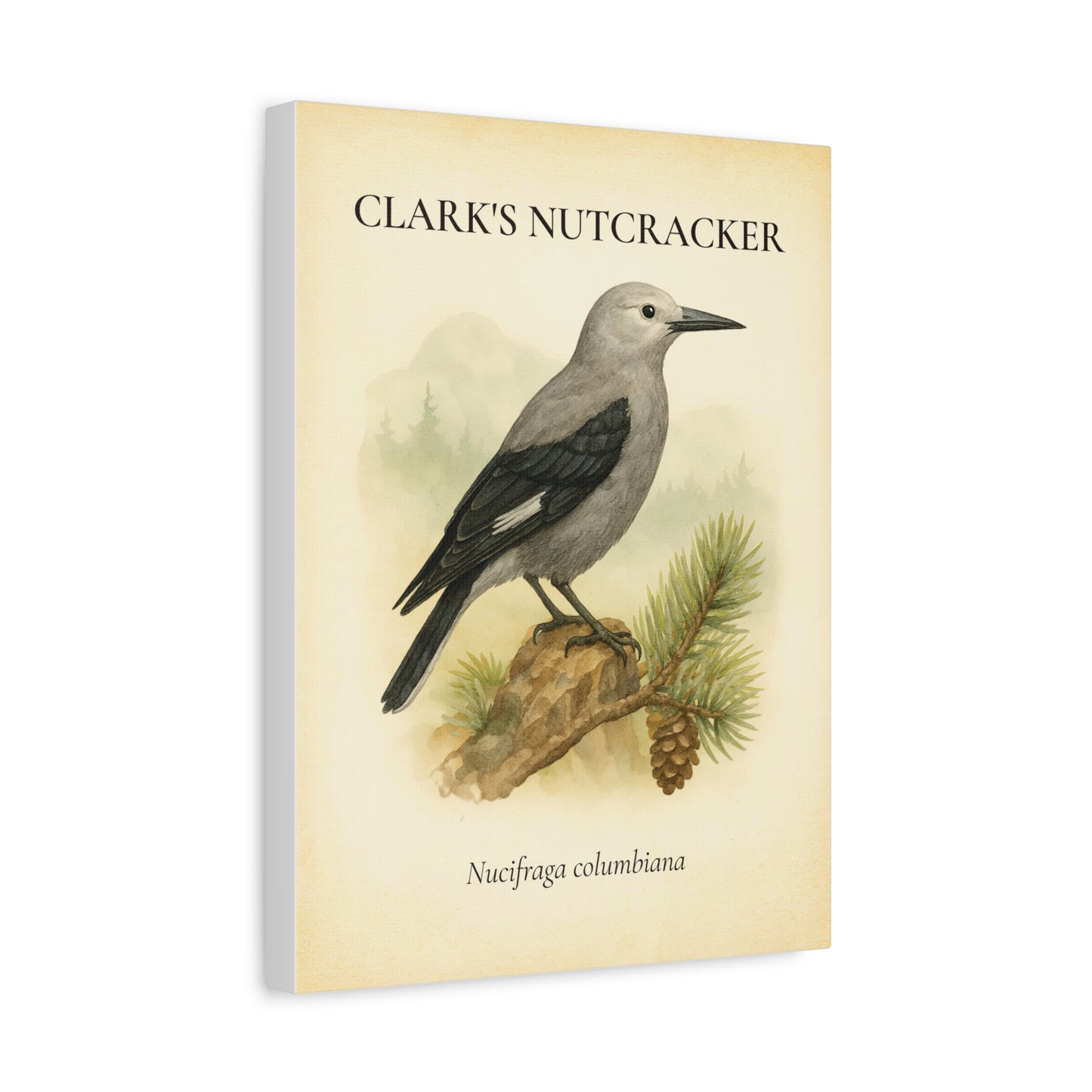 Clark's Nutcracker Vintage Canvas