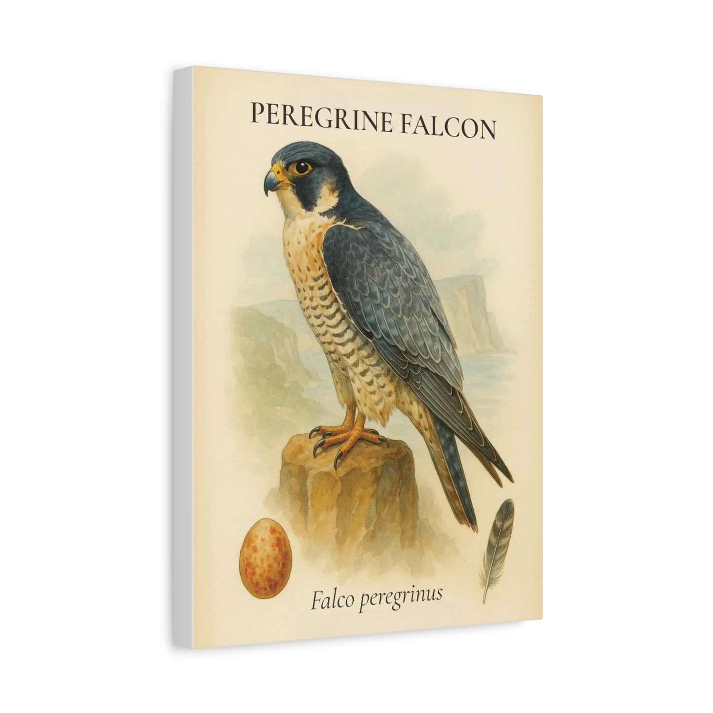 Peregrine Falcon Vintage Canvas