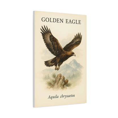 Majestic Eagle Library Print