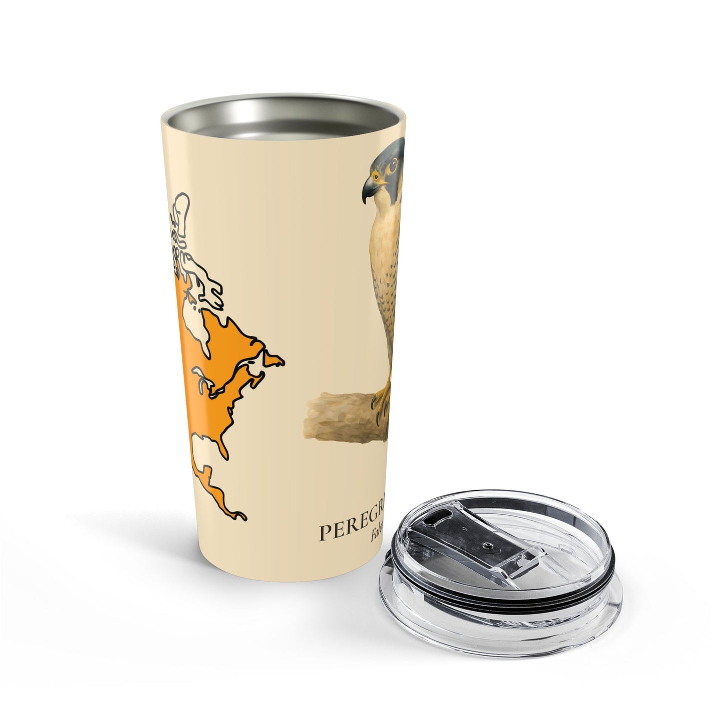 Peregrine Falcon (Falco Peregrinus) Range Map Tumbler