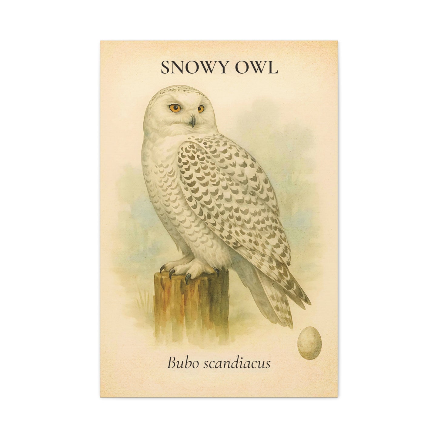 Winter Owl Sanctuary Print