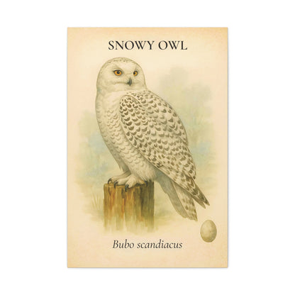 Winter Owl Sanctuary Print