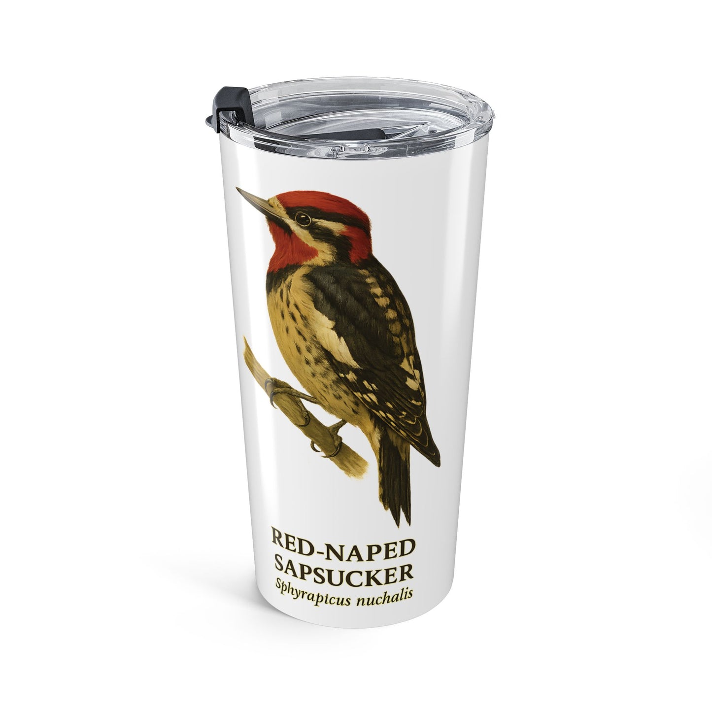 Red-Naped Sap Sucker Range Map Tumbler