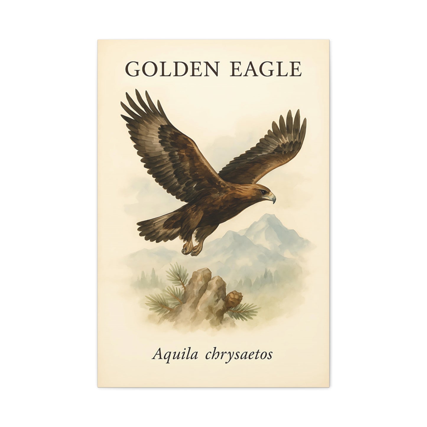 Majestic Eagle Library Print