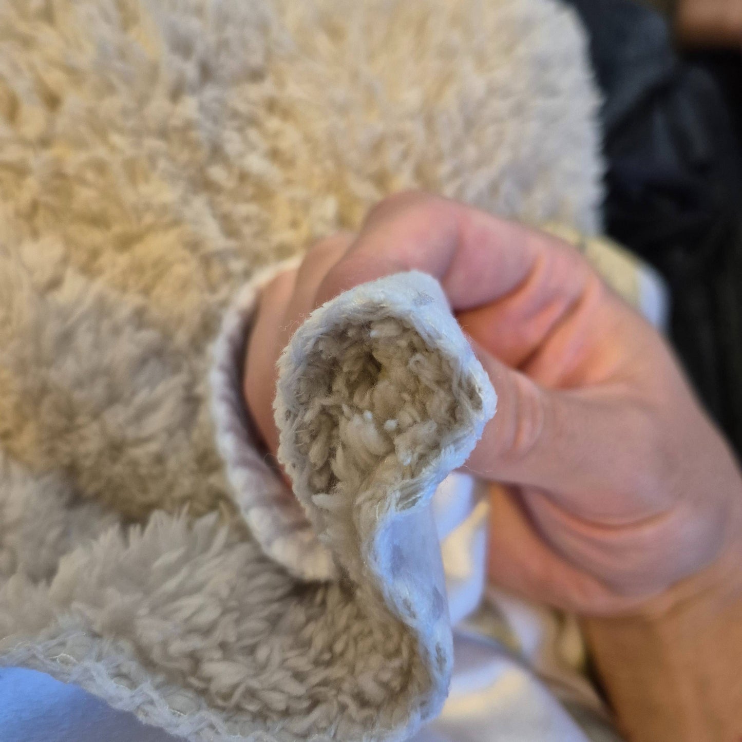 The Cardinal Remembrance Blanket